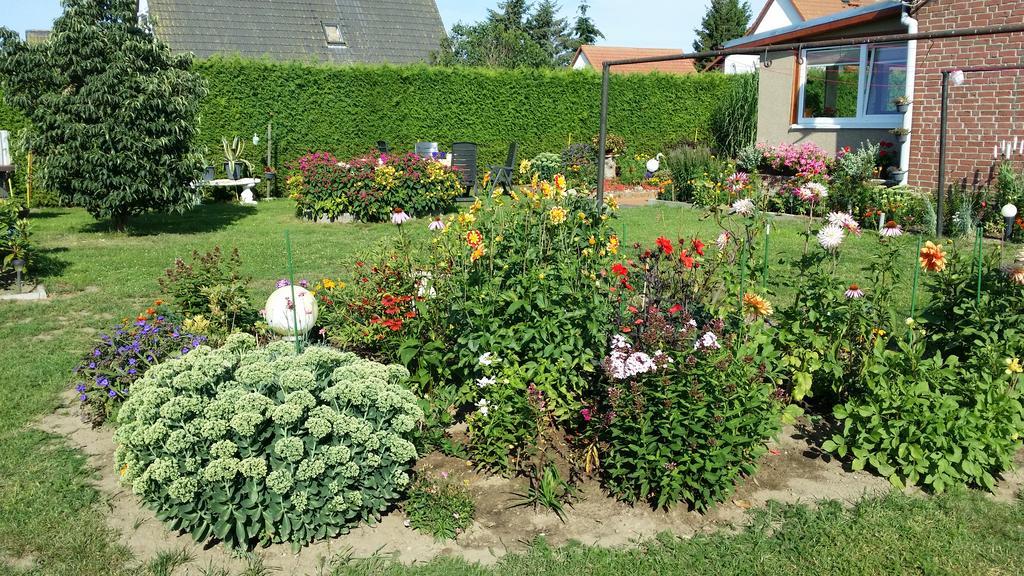 Ferienhaus Storchenweg Mahlzow Ngoại thất bức ảnh